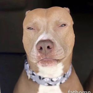 Meet your Posher, Aiden